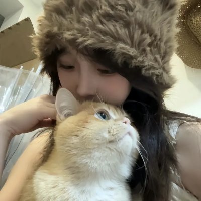 帝王蝶之子